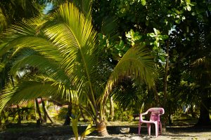 A sunny tropical setting with a vibrant pink chair beside lush palm trees on a sandy beach.