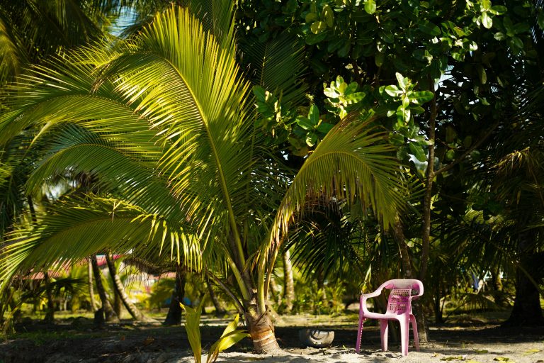 A sunny tropical setting with a vibrant pink chair beside lush palm trees on a sandy beach.