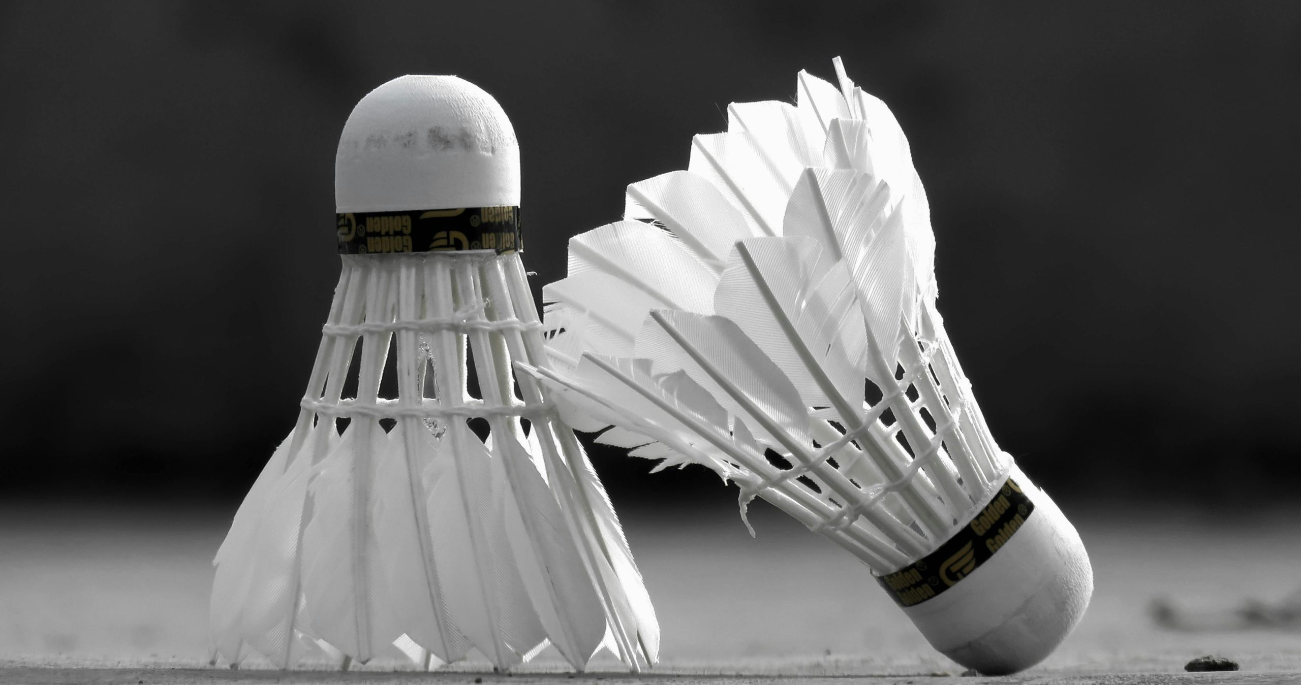 High contrast image of two badminton shuttlecocks on the court floor, showcasing sports equipment in detail.