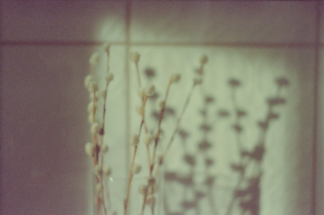 Soft neutral interior with delicate branches in a vase