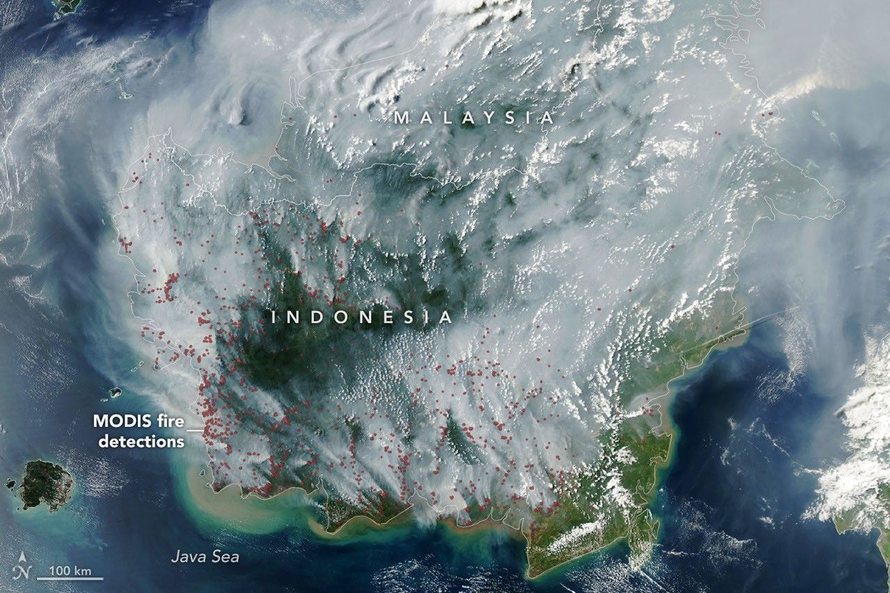 Smoke Knows No Borders: Indonesia’s Forest Fires Peatland Fires Darken Skies in Indonesia